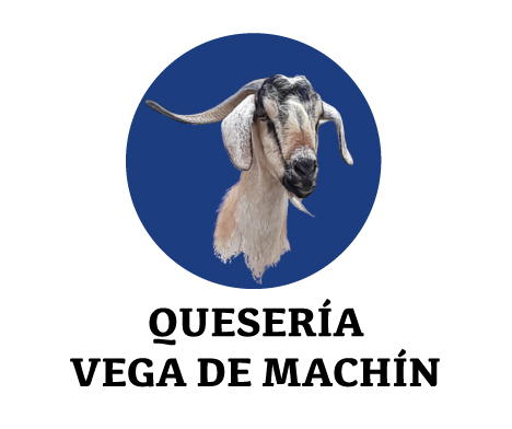 vega-machin